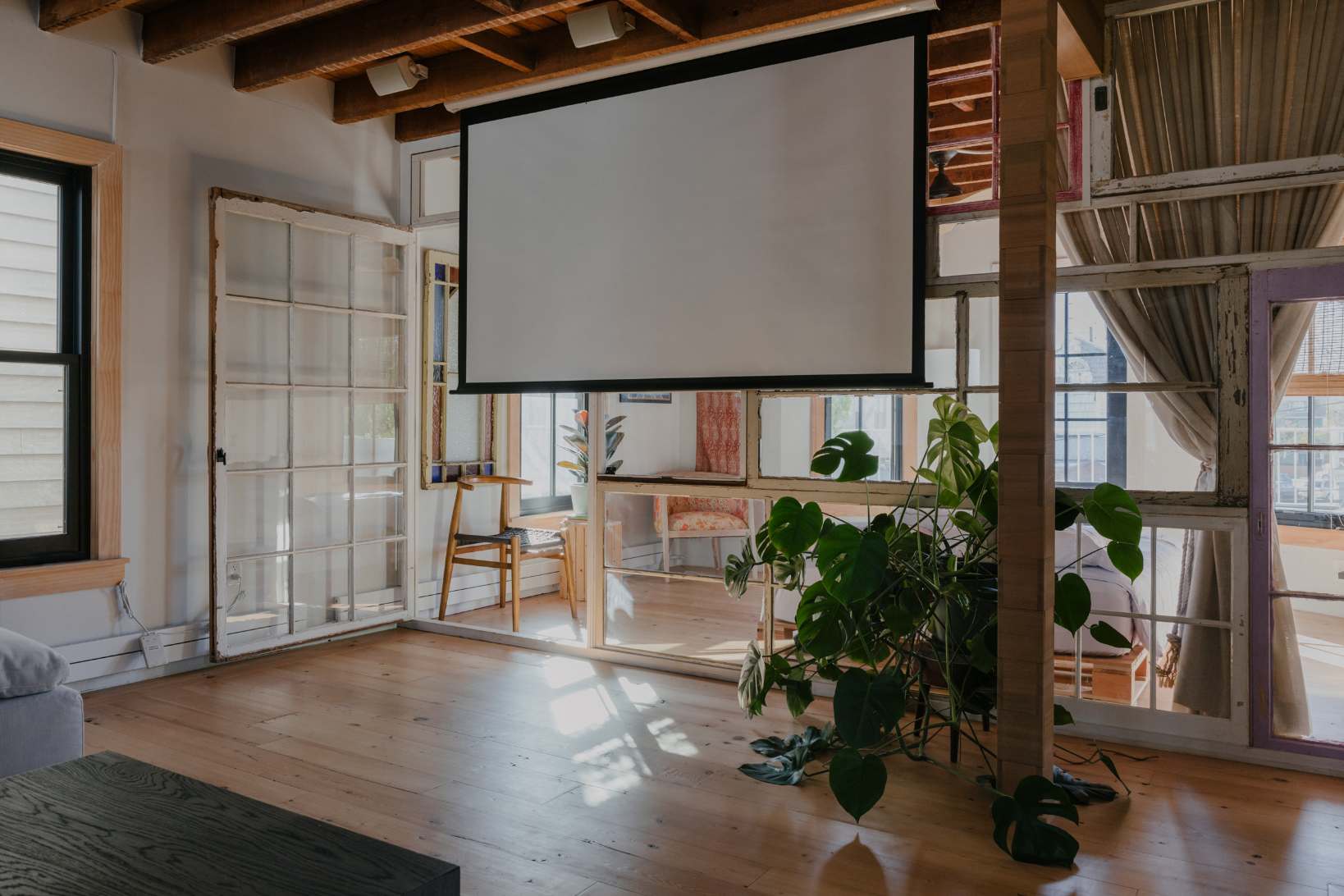 cocoon tranquila white projector screen