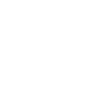 Cocoon Logomark White